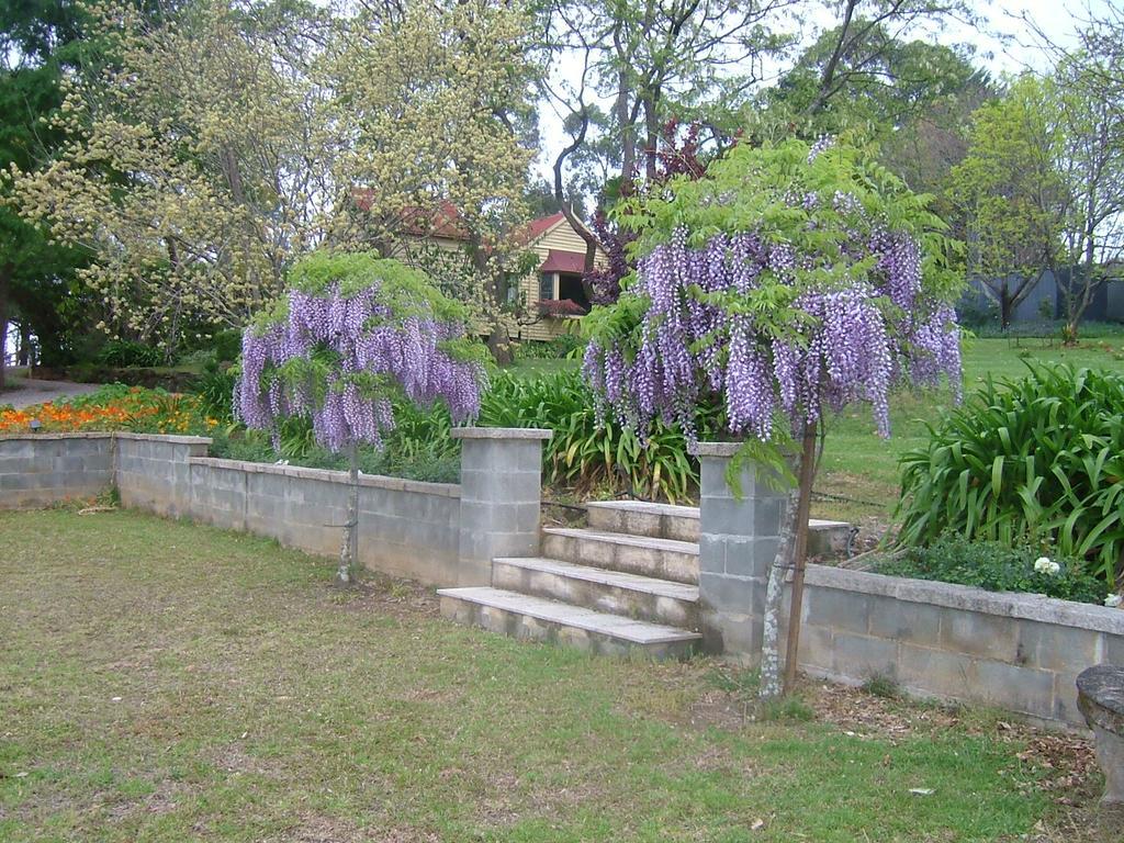 Hermitage Cottage Kurrajong Kültér fotó